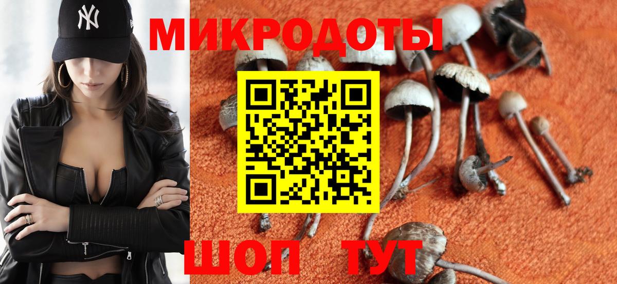 Псилоцибиновые грибы ЛСД Сальск